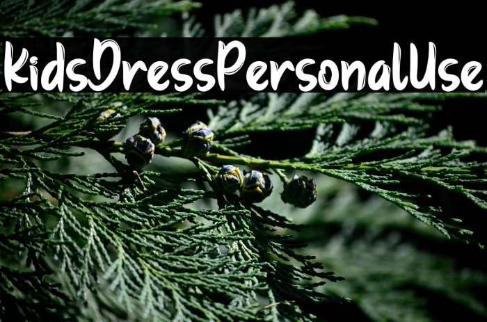 KidsDressPersonalUse Example 1