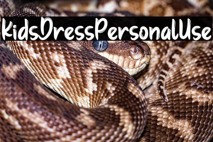 KidsDressPersonalUse Example 3