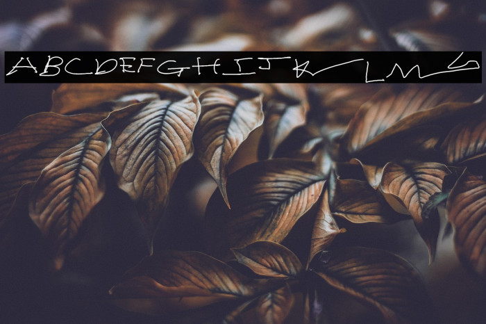 Kid'sWrite Example 2