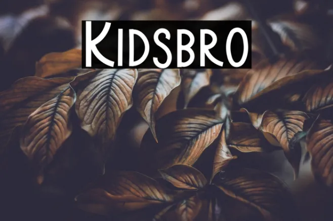 Kidsbro Example 1
