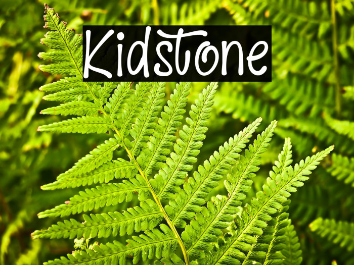 Kidstone Example 2