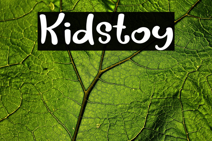 Kidstoy Example 1