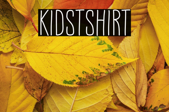 Kidstshirt Example 3