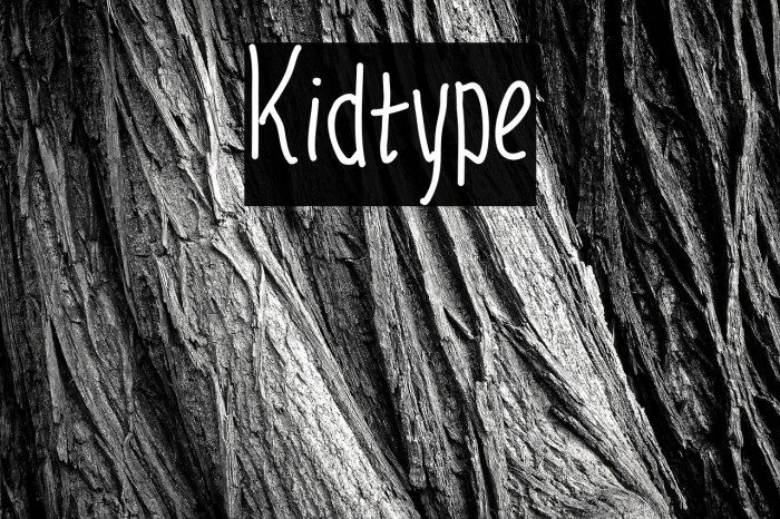 Kidtype Example 2