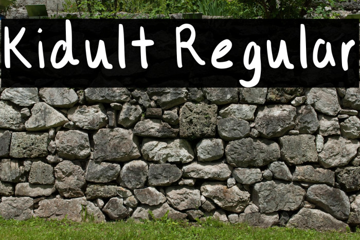 Kidult Regular Example 1