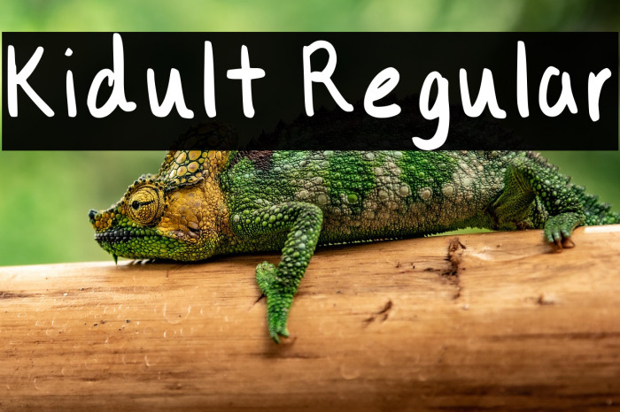 Kidult Regular Example 3