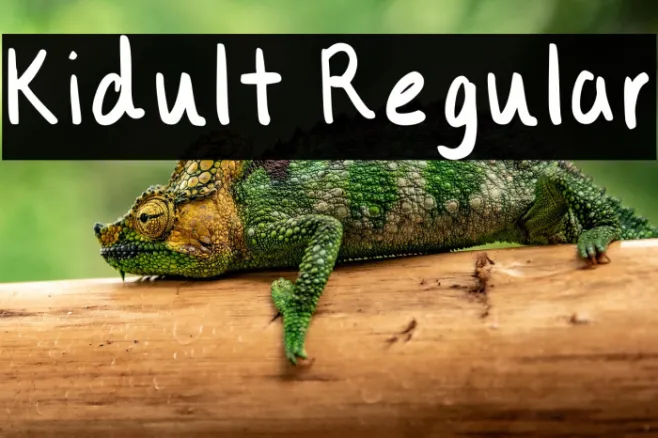 Kidult Regular Example 3