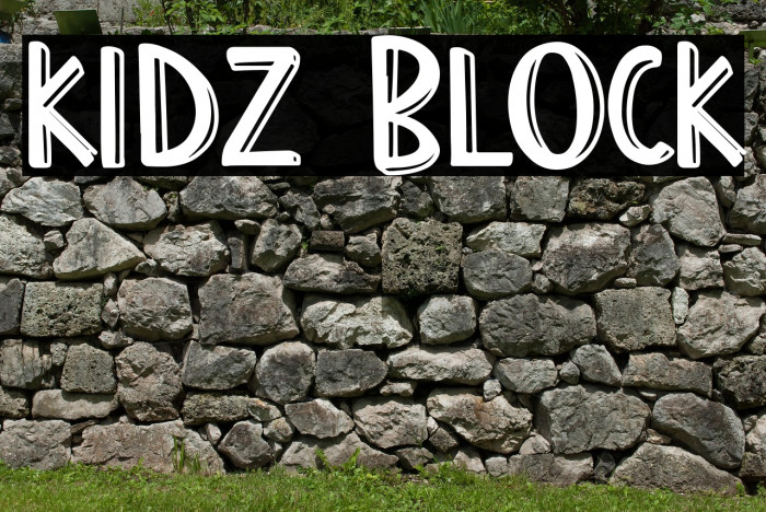 Kidz Block Example 2