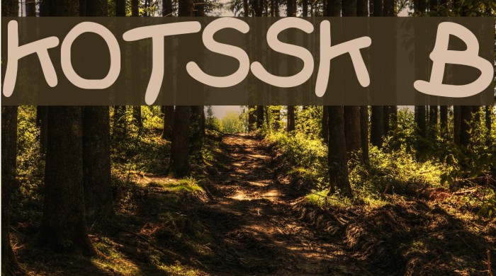 KidzOnlyTooSSK Bold Font examples