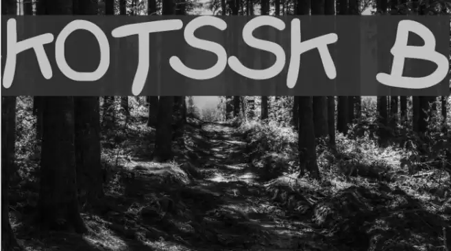 KidzOnlyTooSSK Bold Schriftart examples