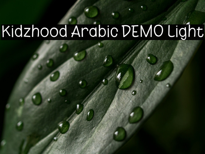 Kidzhood Arabic DEMO Light Example 3