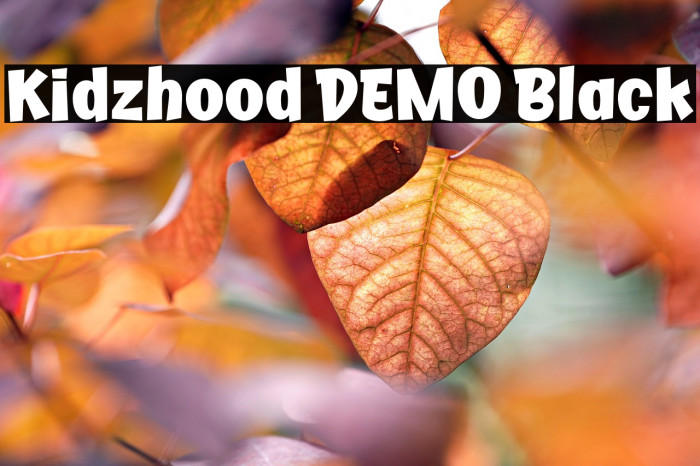 Kidzhood DEMO Black Example 1