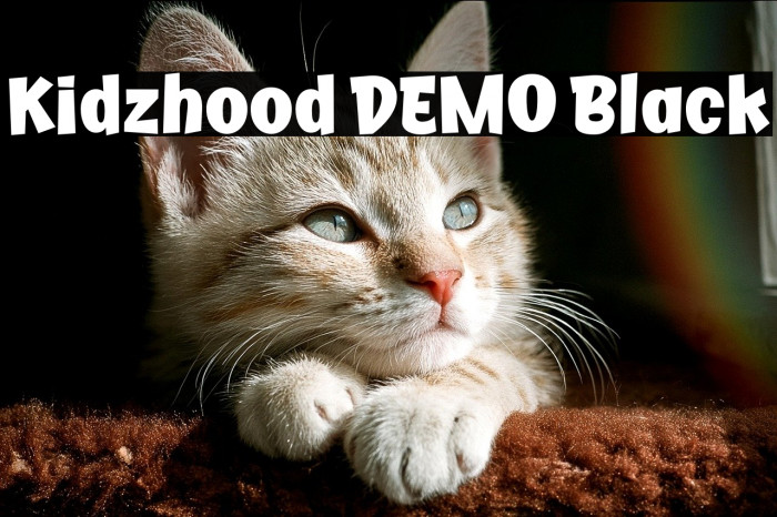 Kidzhood DEMO Black Example 3