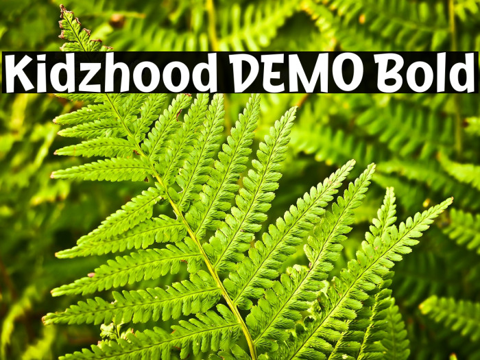 Kidzhood DEMO Bold Example 3