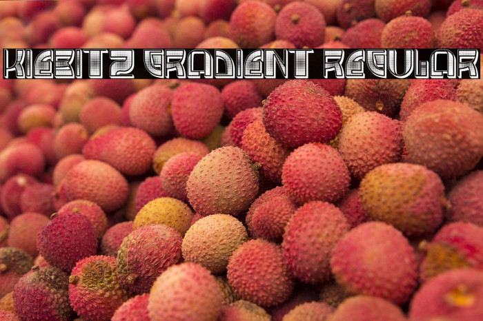 Kiebitz Gradient Regular Example 3