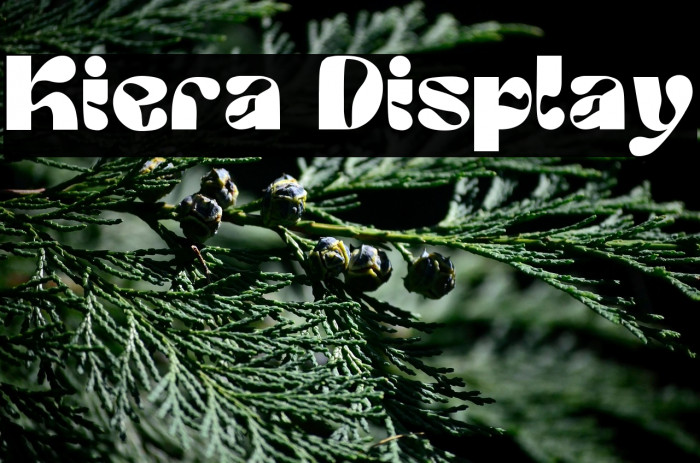 Kiera Display Example 1