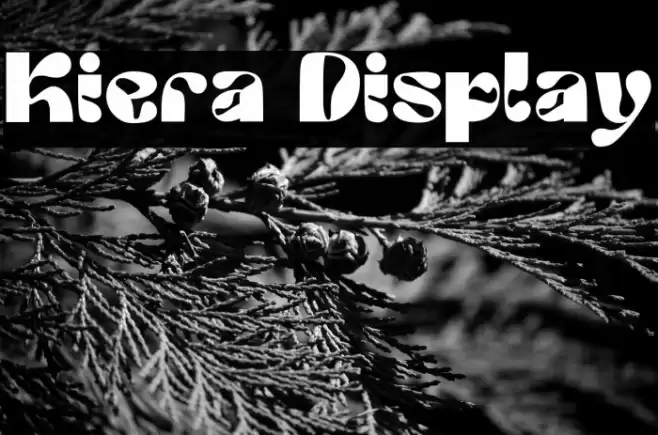 Kiera Display Fonte examples