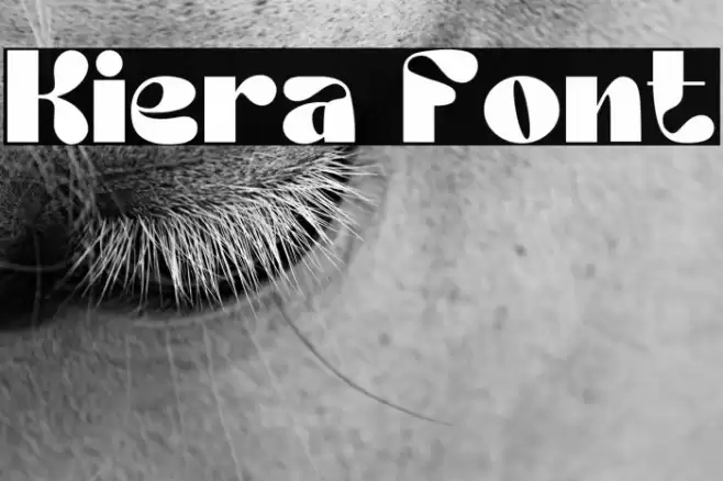 Kiera Font examples