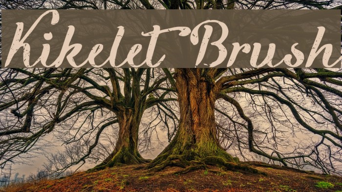 Kikelet Brush Font examples