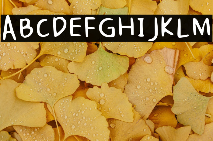 Kikis Regular Example 1