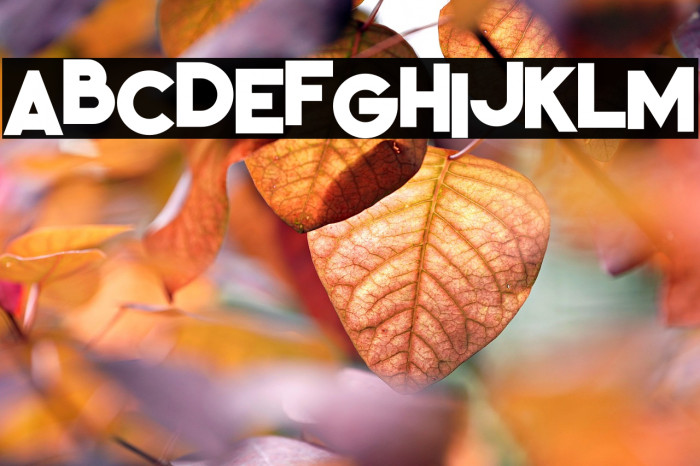 Kiko Regular Example 1