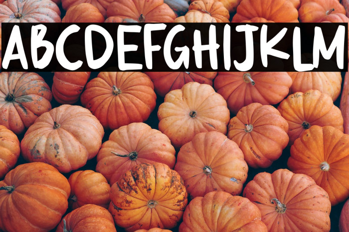 Kikyö Demo Version Example 1