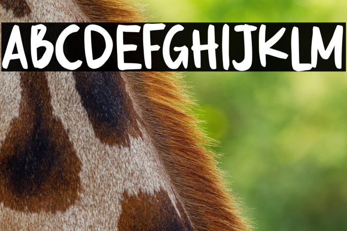 Kikyö Demo Version Example 3