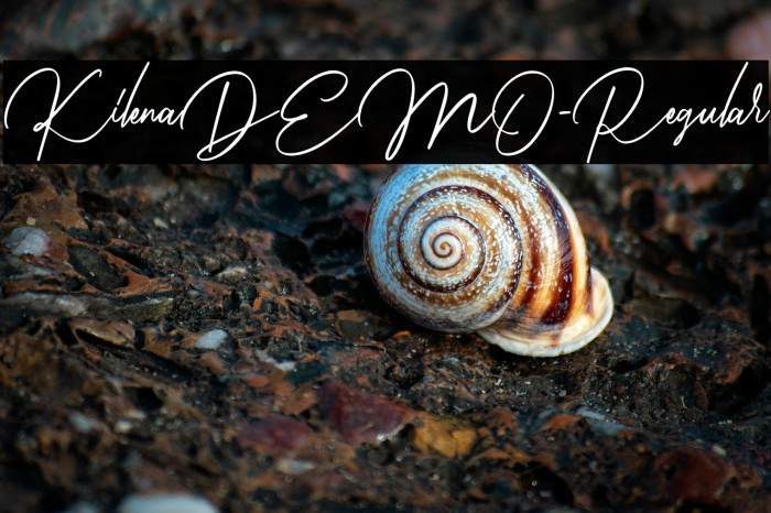 KilenaDEMO-Regular Example 1