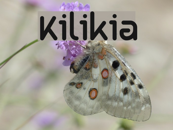 Kilikia Font examples
