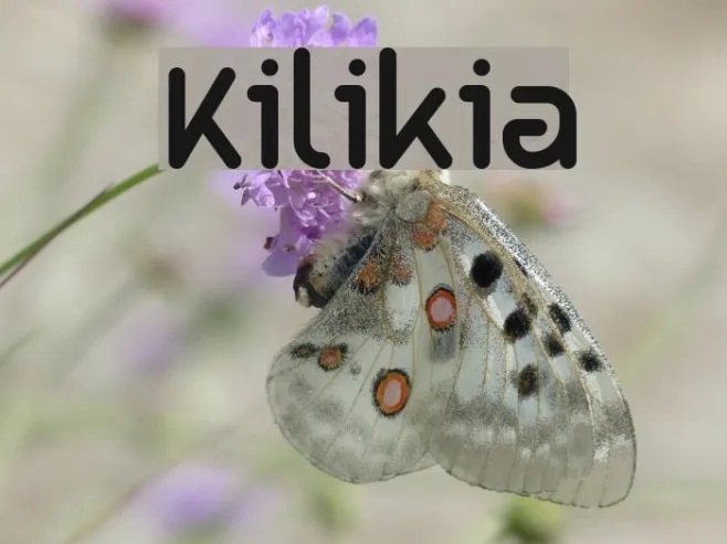 Kilikia Example 1