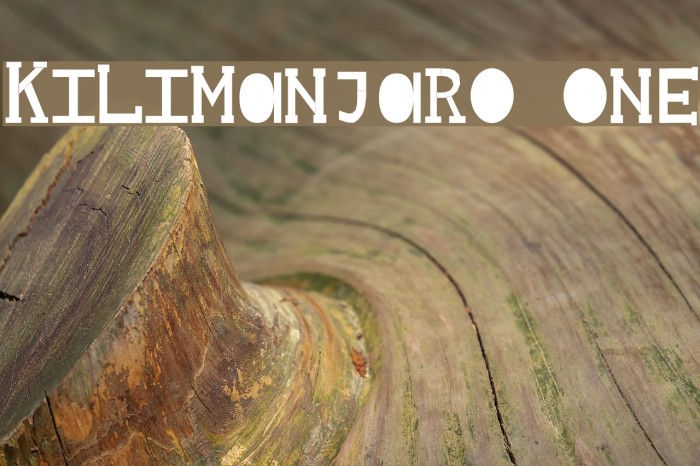Kilimanjaro One Font examples