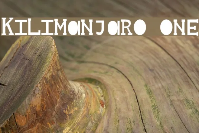 Kilimanjaro One Example 3