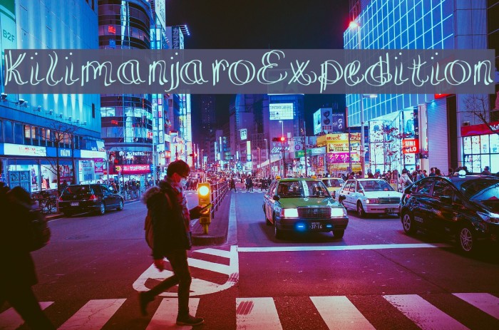 KilimanjaroExpedition Example 1