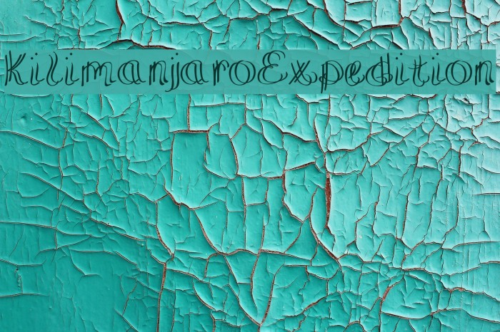 KilimanjaroExpedition Example 2