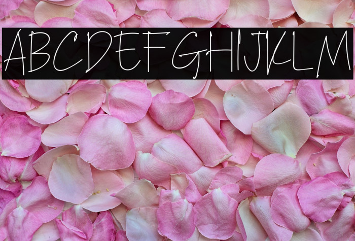 Kilimanjaro Example 1