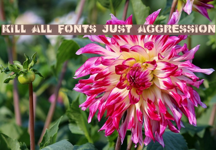 Kill All Fonts Just Aggression Font examples