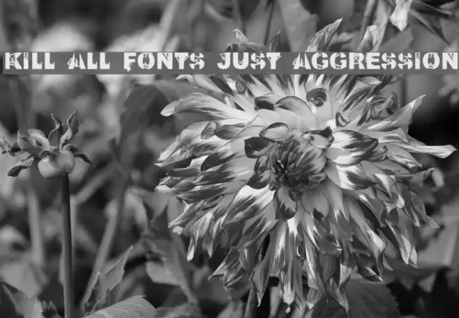 Kill All Fonts Just Aggression Font examples