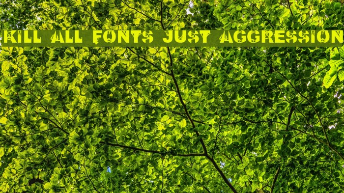 Kill All Fonts Just Aggression Font examples