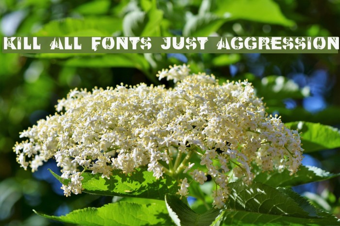 Kill All Fonts Just Aggression Font examples