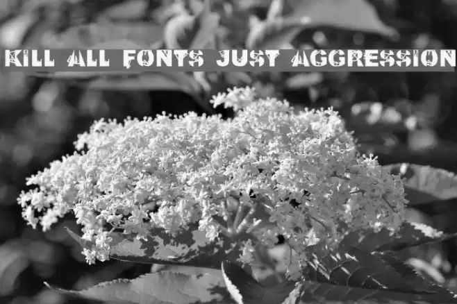 Kill All Fonts Just Aggression Font examples