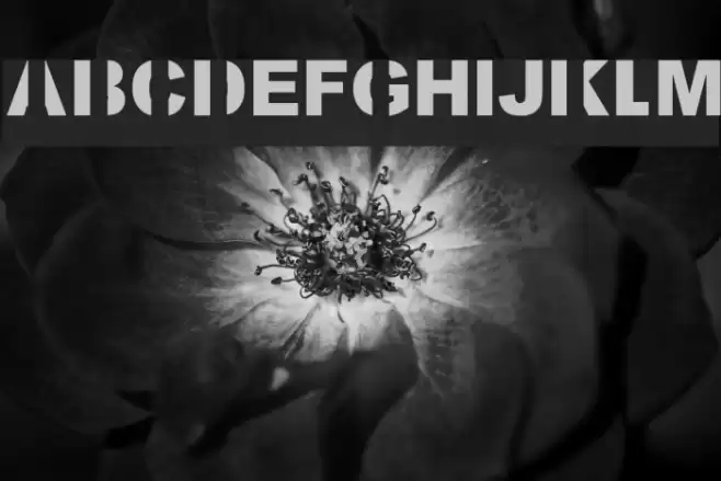 Kill All Fonts Font examples