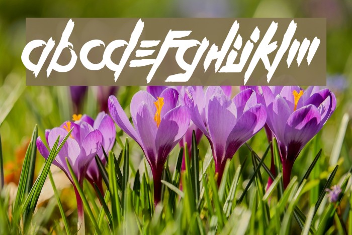 Kill The Noise Example 2