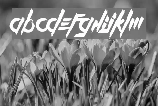 Kill The Noise Font examples