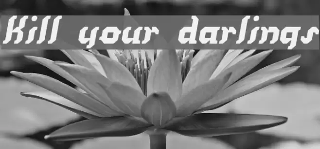 Kill your darlings Font examples