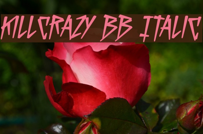 KillCrazy BB Italic Example 2