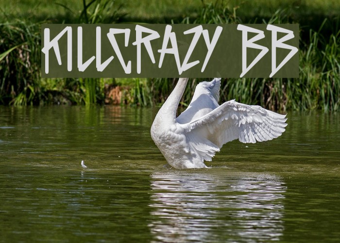 KillCrazy BB Font examples
