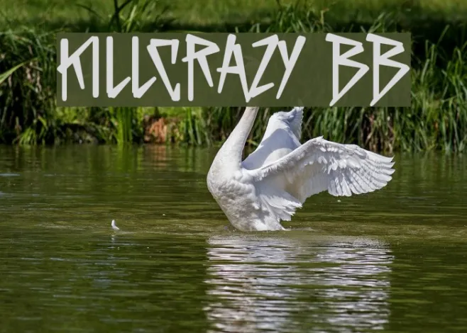 KillCrazy BB Example 3