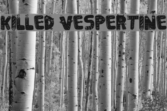 Killed Vespertine Font examples