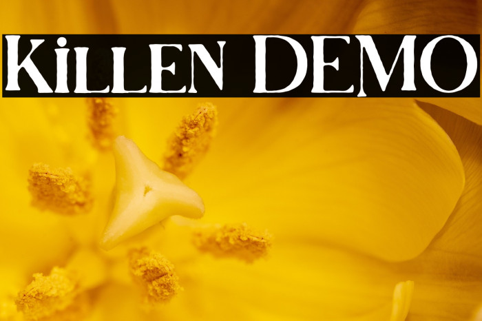 Killen DEMO Example 2