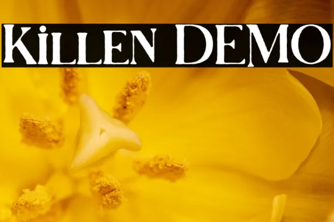 Killen DEMO Example 2